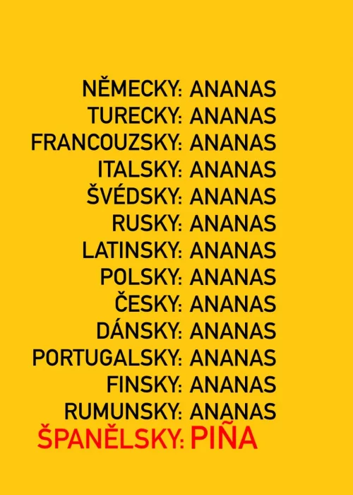 ananas Jak se řekne španělsky ananas?